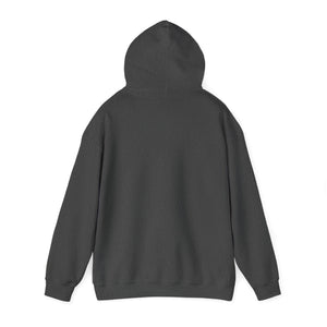 Harry Christmas! - Unisex Heavy Blend™ Hooded Sweatshirt