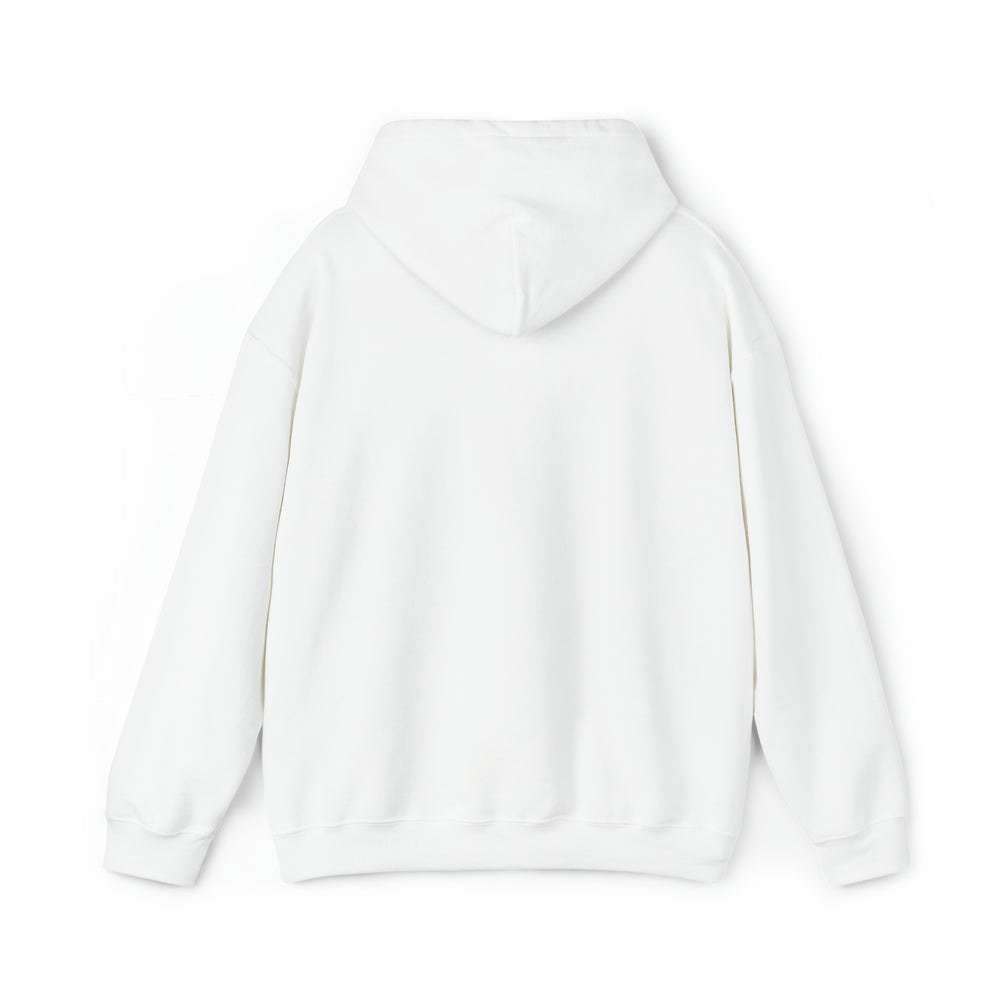 Weather Outlook: Fine [Australian-Printed] - Unisex Heavy Blend™ Hooded Sweatshirt