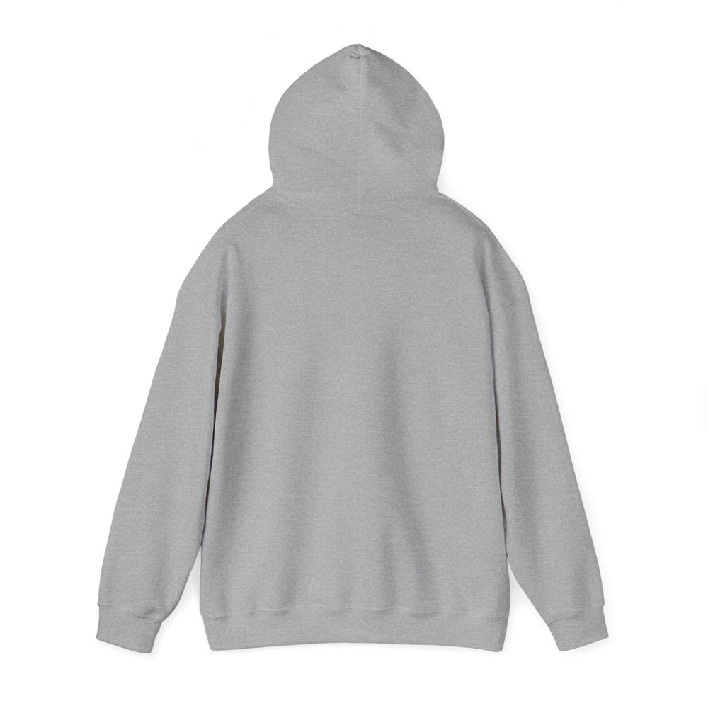 AMY REMEIKIS [Australian-Printed] - Unisex Heavy Blend™ Hooded Sweatshirt