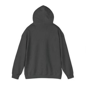 AMY REMEIKIS [Australian-Printed] - Unisex Heavy Blend™ Hooded Sweatshirt